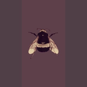 Bumble Bee Stripe Aubergine