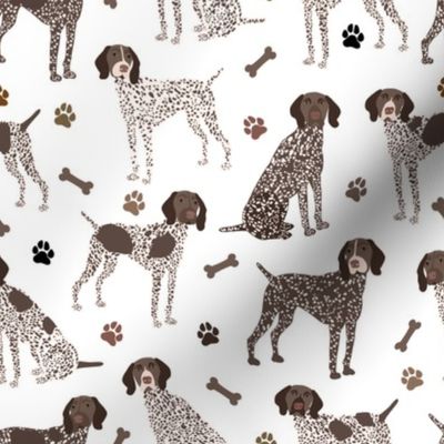 German Shorthaired Pointer Dog Paws and Bones White