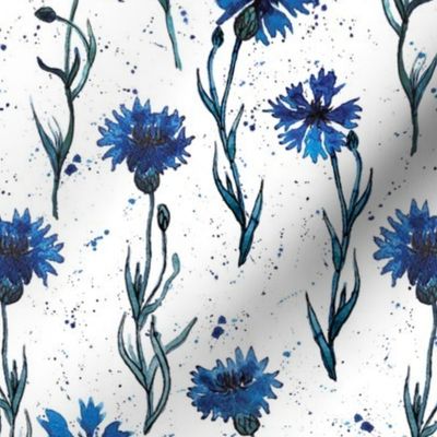 Blue cornflower meadow watercolor