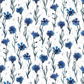 Blue cornflower meadow watercolor
