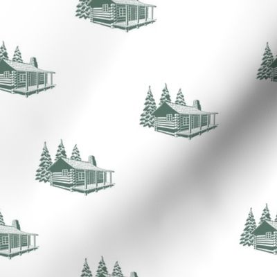 Mountainside Evergreen Cabins