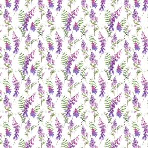 Watercolor purple wildflowers and herbs on white