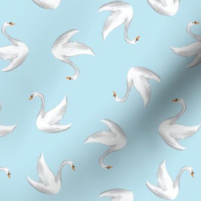 Swans on light blue