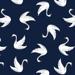 White Swans with Wings on Navy Blue