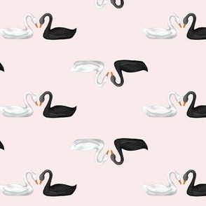 Black and White Lovebird Swans on Pale Pink