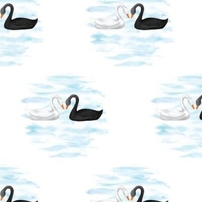 Swans Swimming Watercolor