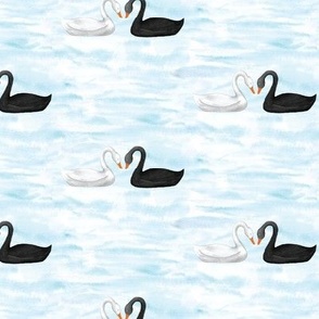 black and white swan lake lovebirds
