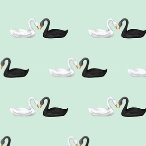 Black and White Swans on Mint