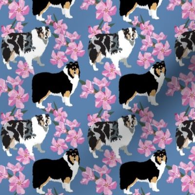 Blue Merle Collie and Tri Color Collie Pink Flowers denim blue 