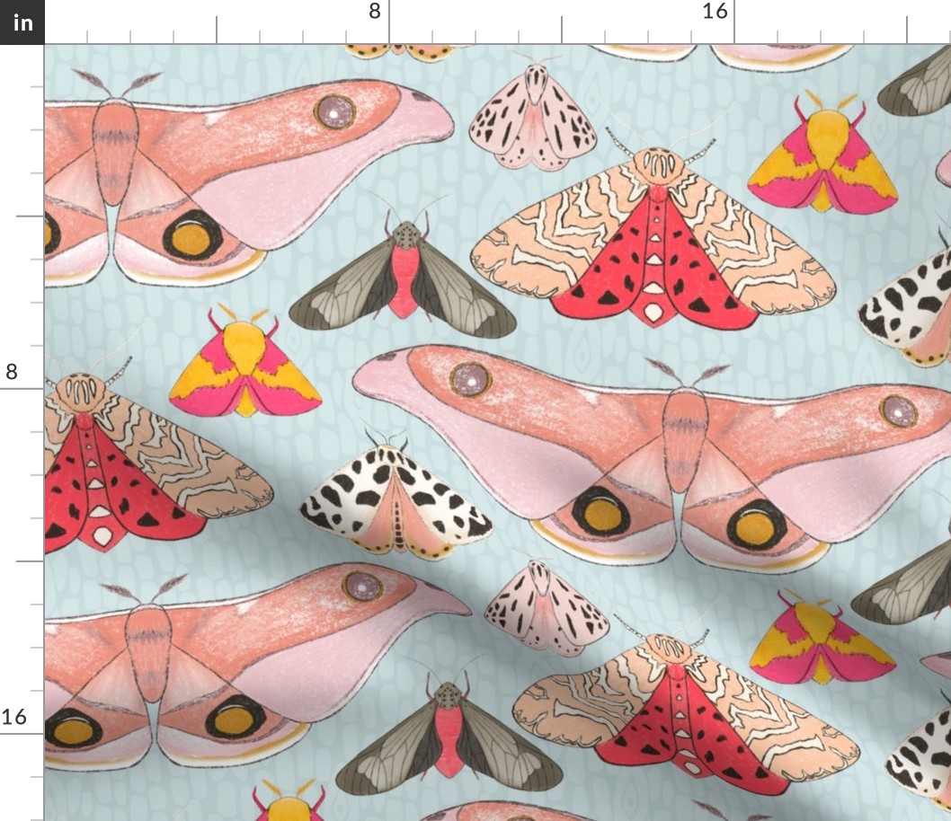 Pink moths on display on light blue bark texture, large scale