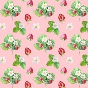 Pink Strawberry Flowers