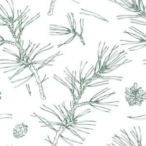 pine needles in sw juniper
