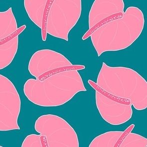 Anthuriums - Teal and Pink
