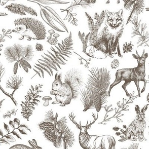woodland toile animal in pines SW prospect