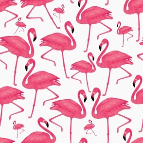 Cherry Pink Flamingos White Background - Large Scale