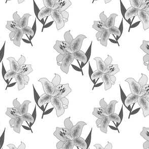 California Christmas Lilies #2 - greyscale on white, medium