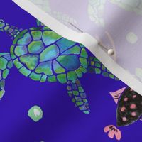 Sea Turtles 2 - Medium