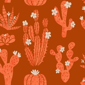 Cacti Garden | Terracota