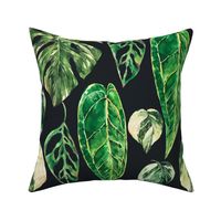 Watercolor tropical leaves, monstera, anthurium, philodendron on black