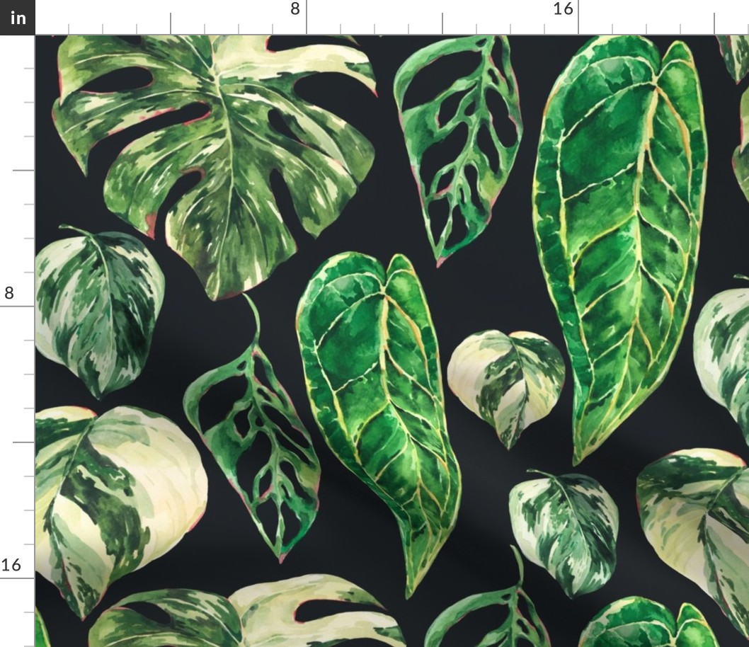 Watercolor tropical leaves, monstera, anthurium, philodendron on black