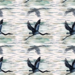 Heron flying over water