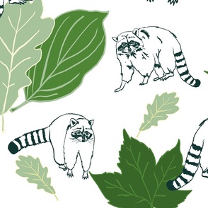 Raccoon on White with Green leaves (large)