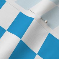 Oktoberfest Bavarian Beer Festival Blue and White Medium Diagonal Diamond Pattern