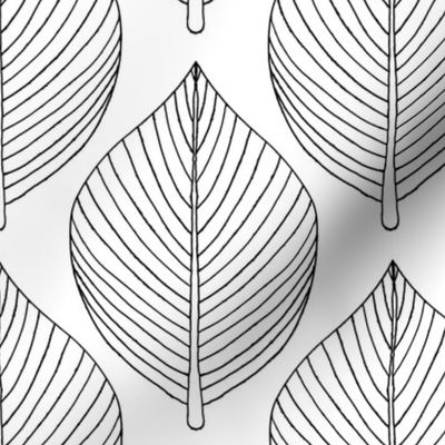 $ Black and white skeleton leaves, botanicals, stylised minimalist, clean and simple, jumbo scale for wallpaper, home decor, table linen and bed linen