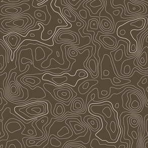topographical map Sepia Coordinate