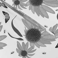 Echinacea Enchantment - greyscale on white, medium/large 