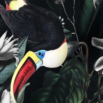 Tropical luxury toucane jungle with vintage illustrations