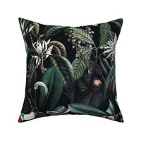Tropical luxury toucane jungle with vintage illustrations
