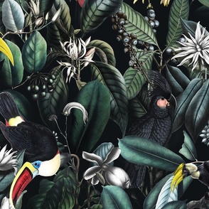 Tropical luxury toucane jungle with vintage illustrations