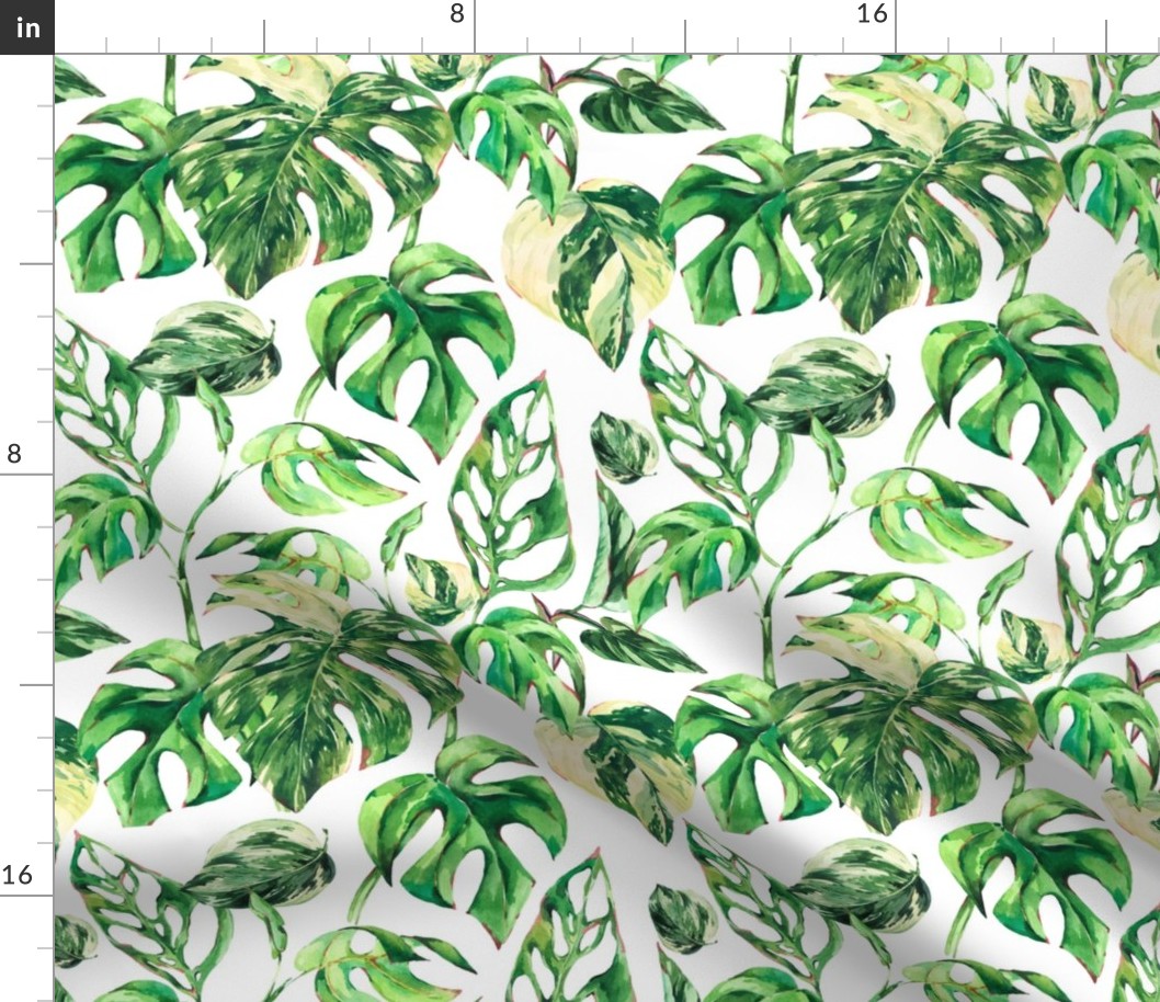 Watercolor greenery leaves on white, monstera green leaves