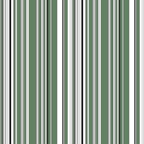 White, black and olive green stripes