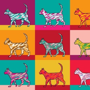 kidult colorful cats
