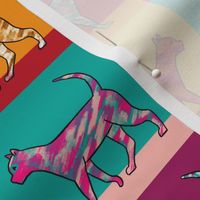 kidult colorful cats | medium