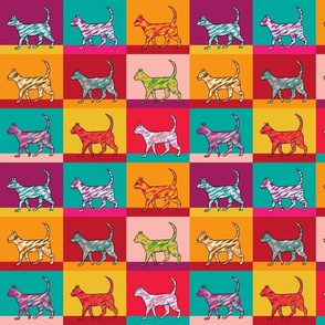 kidult colorful cats | medium