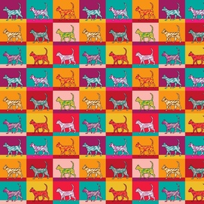 kidult colorful cats | small