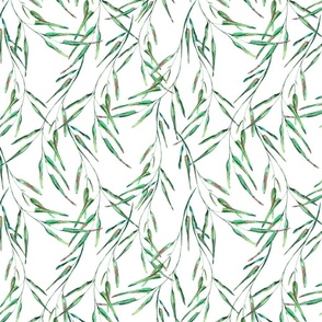 Watercolor greenery plants, liana green leaves on white