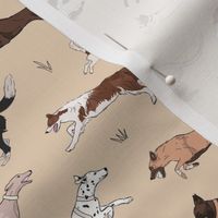 Running dogs - mix of breeds - dalmatian jack russel border collie and cocker spaniel puppies tan beige SMALL