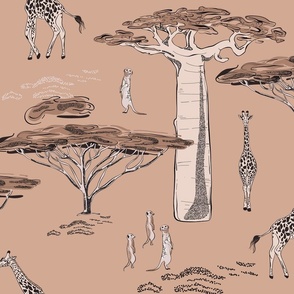 Giraffe in  savannah wildlife 