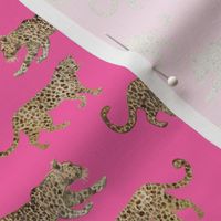 Half Scale leopard-parade-hot-pink