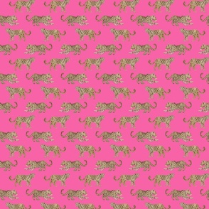 Half Scale leopard-parade-hot-pink