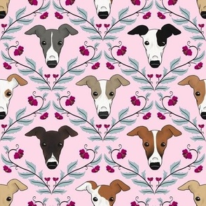 Italian Greyhound Ogee Pink (Medium)