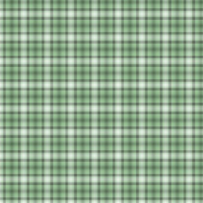 Green Graphic Flowers Plaid in Tea Green and Porpoise Grey