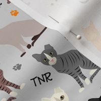 TNR Ear-tipped Cats Trap Neuter Return Gray
