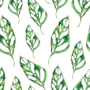 Watercolor greenery monstera leaves on white