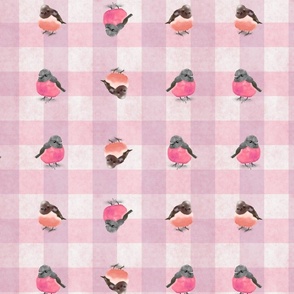 Pink Birds on Pink Checks (large scale)