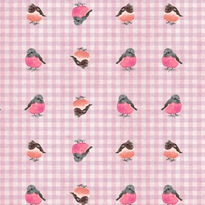 Pink Birds on  Medium Pink Checks (large scale)